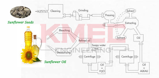 how-deos-sunflower-seed-processed-into-oil