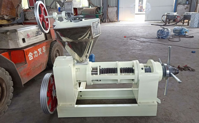 yzs-95 screw oil press machine for sales